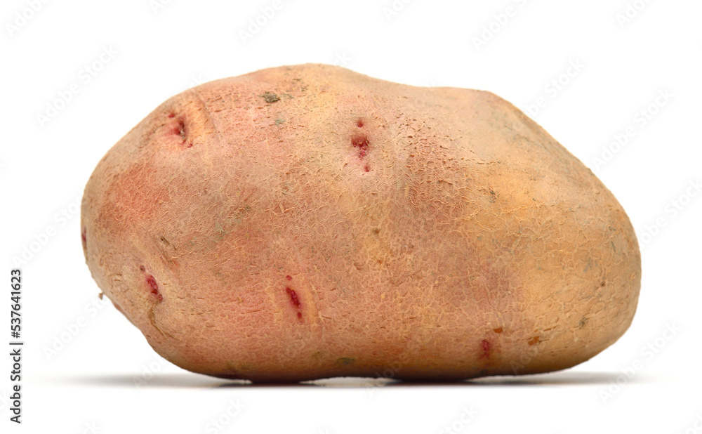 raw potato close up, the object is isolated on a white background raw potato close up, the object is isolated on a white background