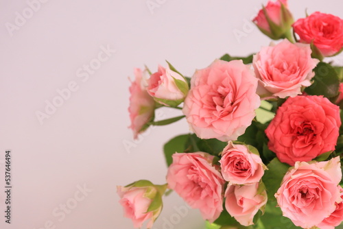 バラの花束 © n.n.6691