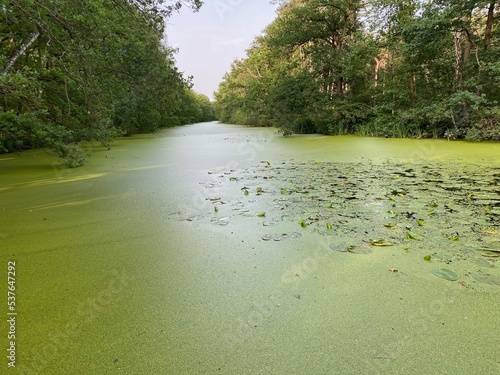 Summer view in Kaatsheuvel (Holland) photo