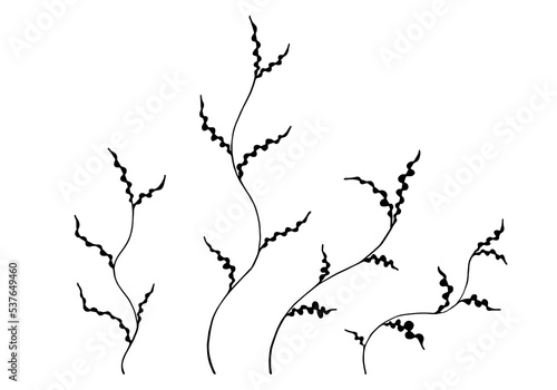 Algae set isolated on white background. Beautiful simple seaweed image for beauty industry, products with marine collagen, cosmetology, sea food packaging and other using. Vector illustration.
