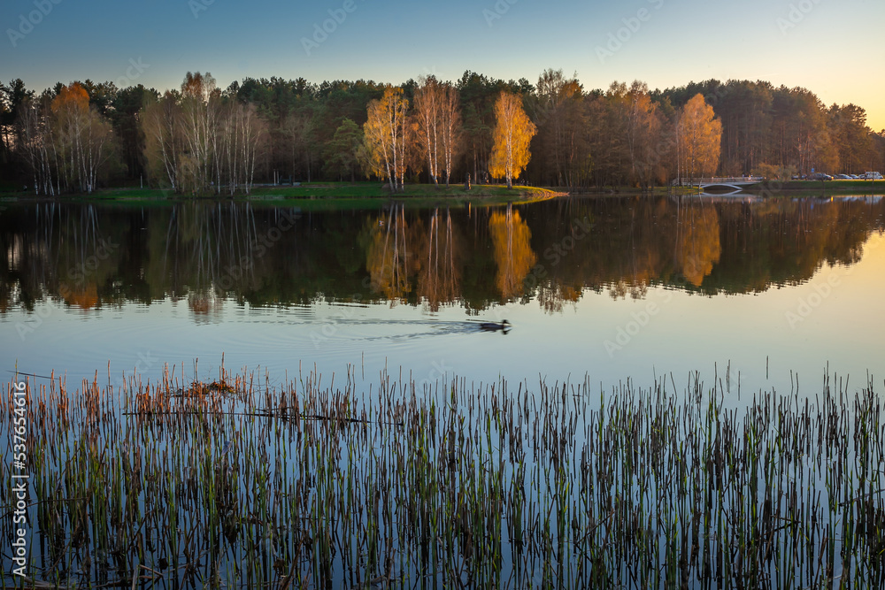Autumn landscape with yellow and orange trees and lake reflection, Lithuania