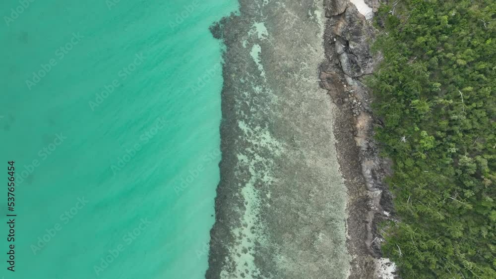 great barrier reef on an island in queensland australia.  