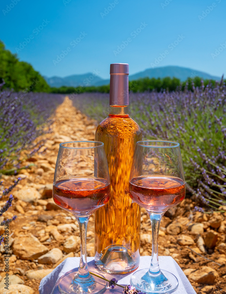 Lavender flowers fields in blossom near Valensole in Provence and glass and bottle of rose wine in sunny day, summer vacation in Provence, France