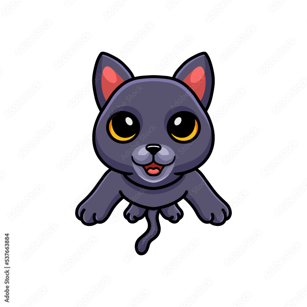Cute chartreux cat cartoon posing