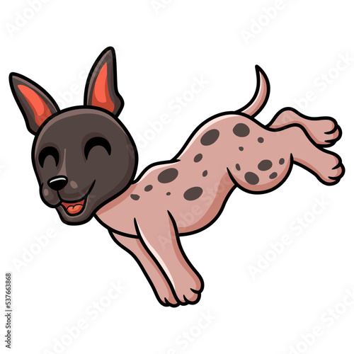 Cute american hairless terrier cartoon