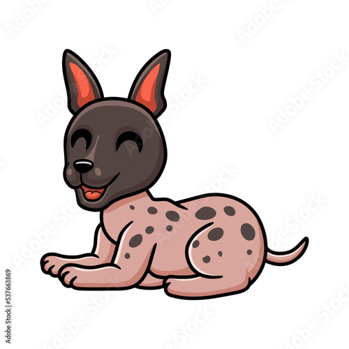 Cute american hairless terrier cartoon
