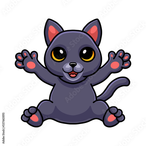 Cute chartreux cat cartoon posing photo