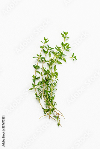 thyme stems leaves white background organic ingredient herb aromatic medicinal