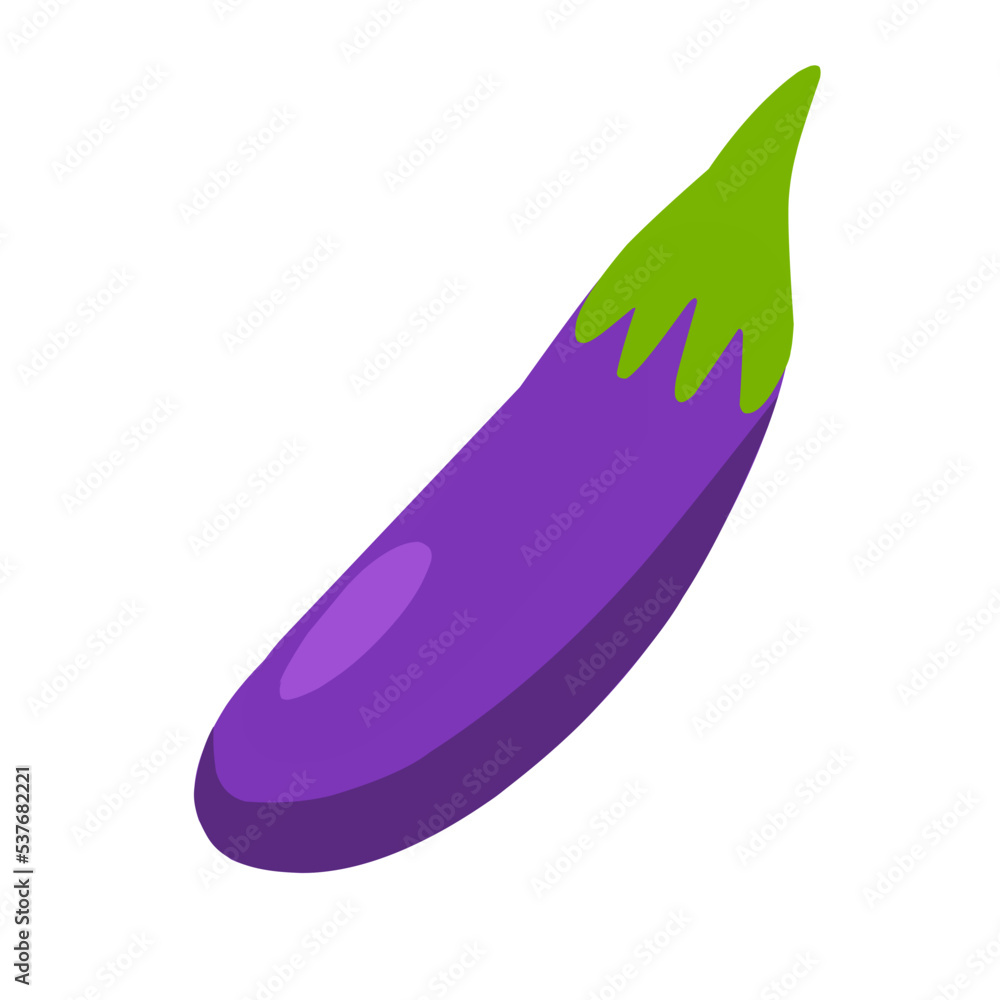 fresh purple eggplant fresh purple eggplant