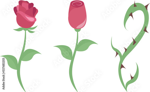 Fototapeta Naklejka Na Ścianę i Meble -  Rose, rose bud, and thorn vector illustration graphics