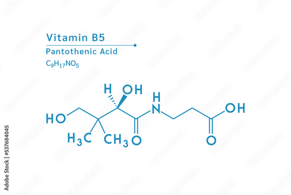 Vitamin B5 structural blue outline chemical formula. Medical and scientific concepts. Isolated on white background. Vector EPS10 illustration