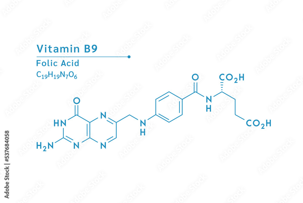 Vitamin B9 structural blue outline chemical formula. Medical and scientific concepts. Isolated on white background. Vector EPS10 illustration