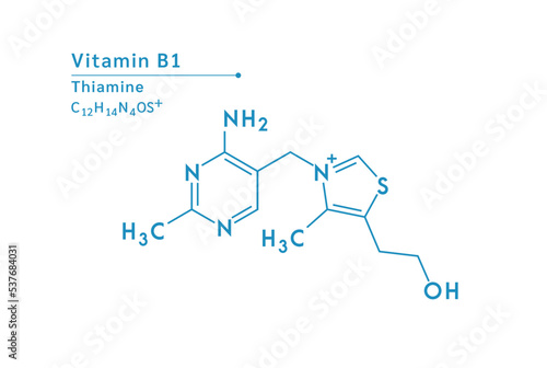 Vitamin B1 structural blue outline chemical formula. Medical and scientific concepts. Isolated on white background. Vector EPS10 illustration