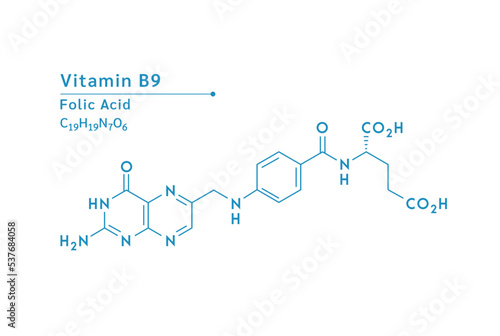 Vitamin B9 structural blue outline chemical formula. Medical and scientific concepts. Isolated on white background. Vector EPS10 illustration