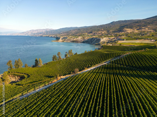 Naramata Bench Winery Vineyard Penticton Okanagan Valley