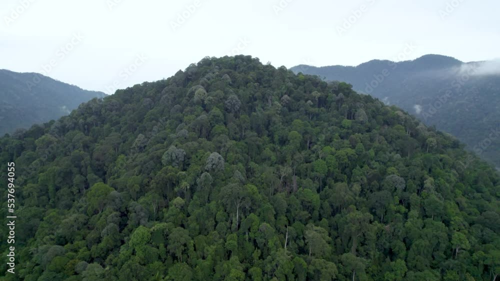 A zoom out shot of large number of mountains, vast landscapes touching the horizons, skies and dense lush forest A zoom out shot of large number of mountains, vast landscapes touching the horizons, skies and dense lush forest
