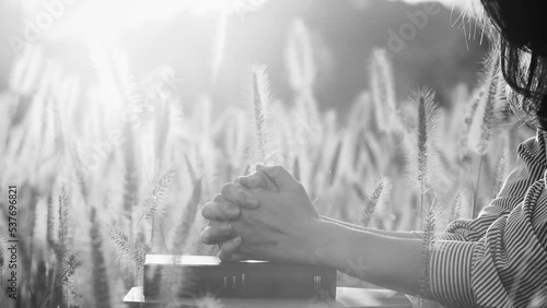 Thanksgiving Day, praying hands on the holy bible, reeds and barley fields swaying in the autumn sunlight and wind

