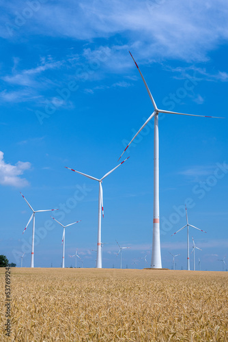 Fototapeta Wind energy plants in a grainfield seen in Germany