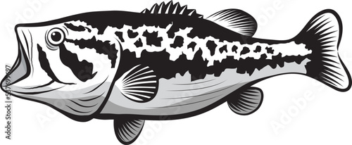 Bass fish line drawing style on white background. Design element for icon logo, label, emblem, sign, and brand mark.Vector illustration