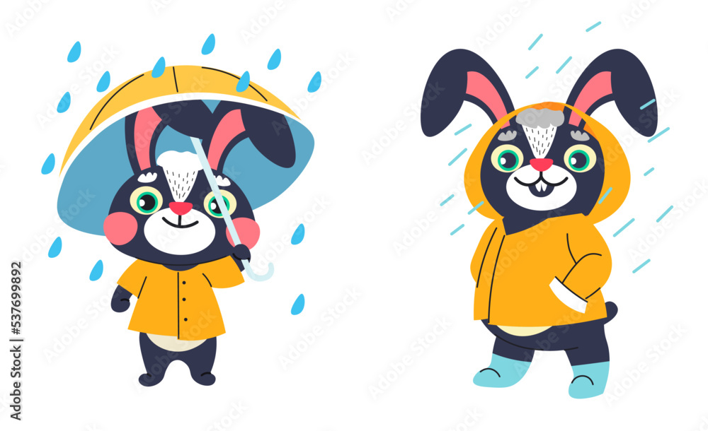 Rabbit wearing raincoat standing under rainfall Rabbit wearing raincoat standing under rainfall