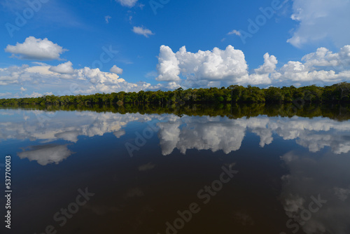 Cloud and rainforest reflections on the Guapor   - Itenez river near Cabixi  Rondonia state  Brazil  on the border with the Santa Cruz Department  Bolivia