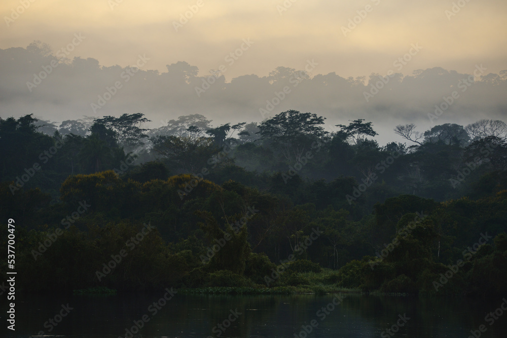 Fototapeta premium A misty morning on the rainforest-lined banks of the Guaporé-Itenez river, near Ilha das Flores, Rolim de Moura do Guaporé, Rondonia, on the border with Beni Department, Bolivia