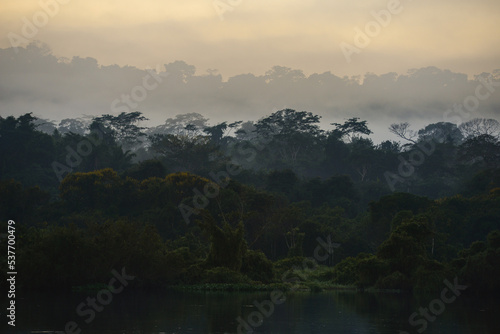 A misty morning on the rainforest-lined banks of the Guaporé-Itenez river, near Ilha das Flores, Rolim de Moura do Guaporé, Rondonia, on the border with Beni Department, Bolivia photo