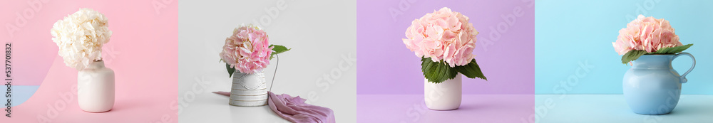 Collection of beautiful hydrangea flowers in vases on color background Collection of beautiful hydrangea flowers in vases on color background