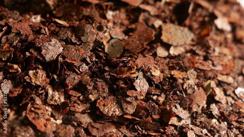 Iron oxide. A thin sheet of galvanized steel after 15 years of vehicle operation. Burning iron. Rusted metal Iron oxide. A thin sheet of galvanized steel after 15 years of vehicle operation. Burning iron. Rusted metal