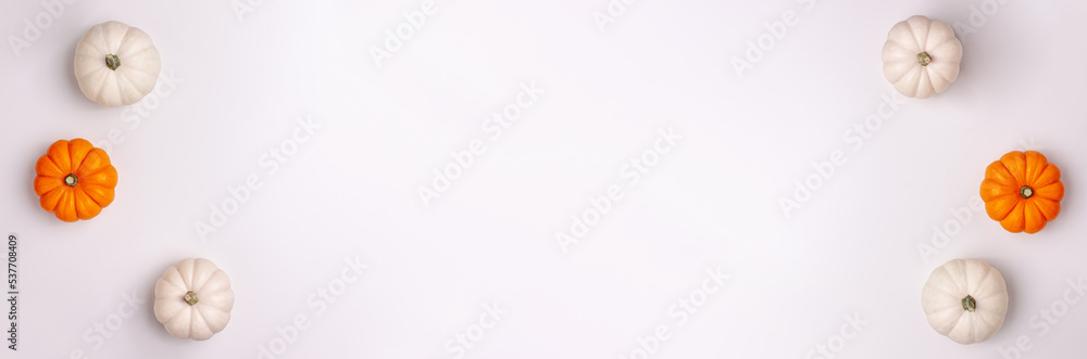 Flat lay banner of mini decorative pumpkin white, orange and yellow colors on bright background from above at the left and right. Halloween and Thanksgiving greeting card holiday concept copy space Flat lay banner of mini decorative pumpkin white, orange and yellow colors on bright background from above at the left and right. Halloween and Thanksgiving greeting card holiday concept copy space
