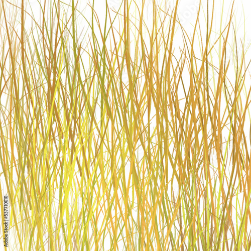 grass on a white background pattern, seamless, texture, wallpaper, vector, design, decoration, illustration, ornament, art