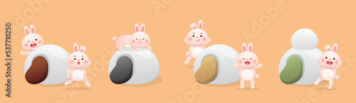 Cute rabbit character or mascot, lantern festival or winter solstice with glutinous rice balls, asian glutinous rice sweets, flavors and fillings, vector cartoon style