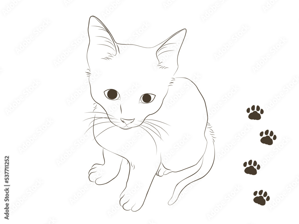 Obraz premium 手描きの線画の子猫と肉球のイラスト