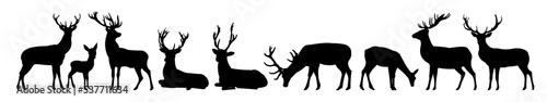 Deer silhouette set. Adult dress males and smocks with cubs. Wild animals. Isolated on white background. Vector.