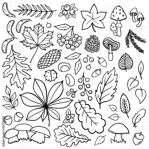 Fall Autumn Nature Doodle linear outline monochrome vector seasonal illustration set for web digital projects and bullet journal isolated on white background 