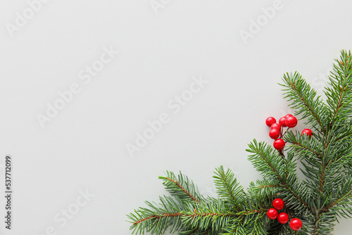 Christmas branches with rowan on white background © Pixel-Shot