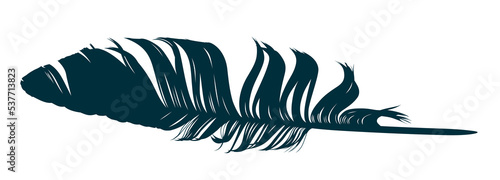 The Feather of bird silhouette.