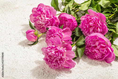 Fragrant pink peonies bouquet. Summer plaster background, seasonal design, festive card concept