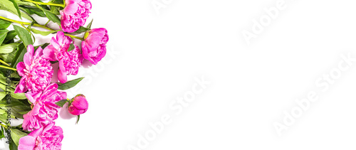Fragrant pink peonies bouquet isolated on white background. Summer card, seasonal design, festive concept