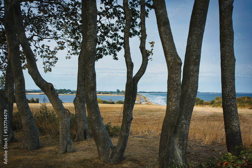 Beach near Sonderby on Kegnaes island, Denmark, Europe. Beach near Sonderby on Kegnaes island, Denmark, Europe.