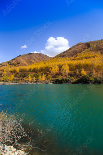 Mountain lake with yellow trees. Autumn landscape. Kyrgyzstan, Ak-Tuz gorge. Natural background. © Alwih