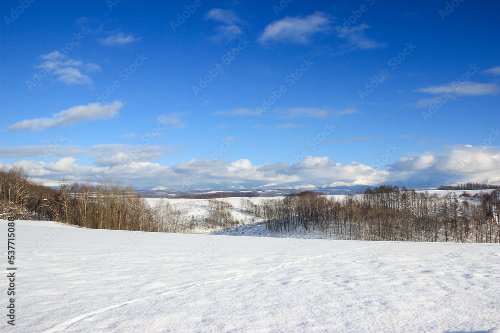 冬の丘陵地帯