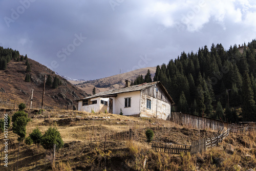 Old abandoned wooden house against the background of trees and a cloudy sky. Rural landscape. Gloomy house.