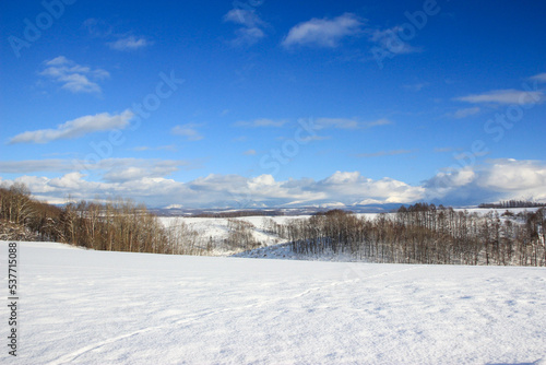冬の丘陵地帯 © まり子 佐藤
