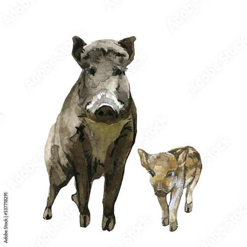 Beautiful vector stock illustration with hand drawn watercolor forest wild boar animal with baby. Clip art image.