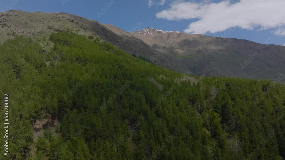 Beautiful drone shot forest on mountain in summer sun. Cinematic nature landscape Beautiful drone shot forest on mountain in summer sun. Cinematic nature landscape