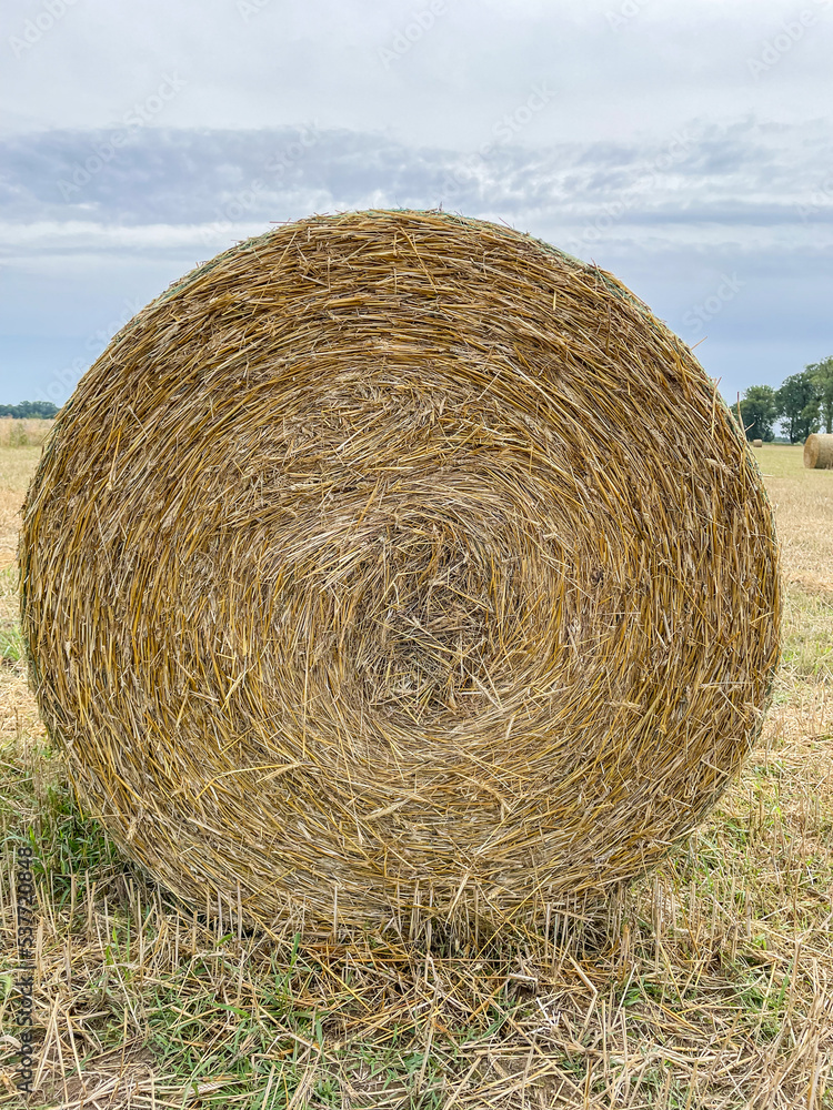 Round hay bale