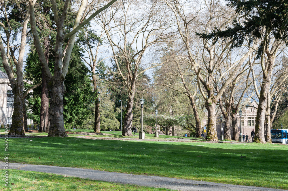 A photo of campus of University of Washington, Seattle, USA