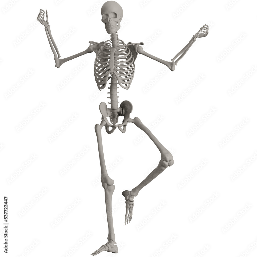 skeleton posing 3d render illustration skeleton posing 3d render illustration
