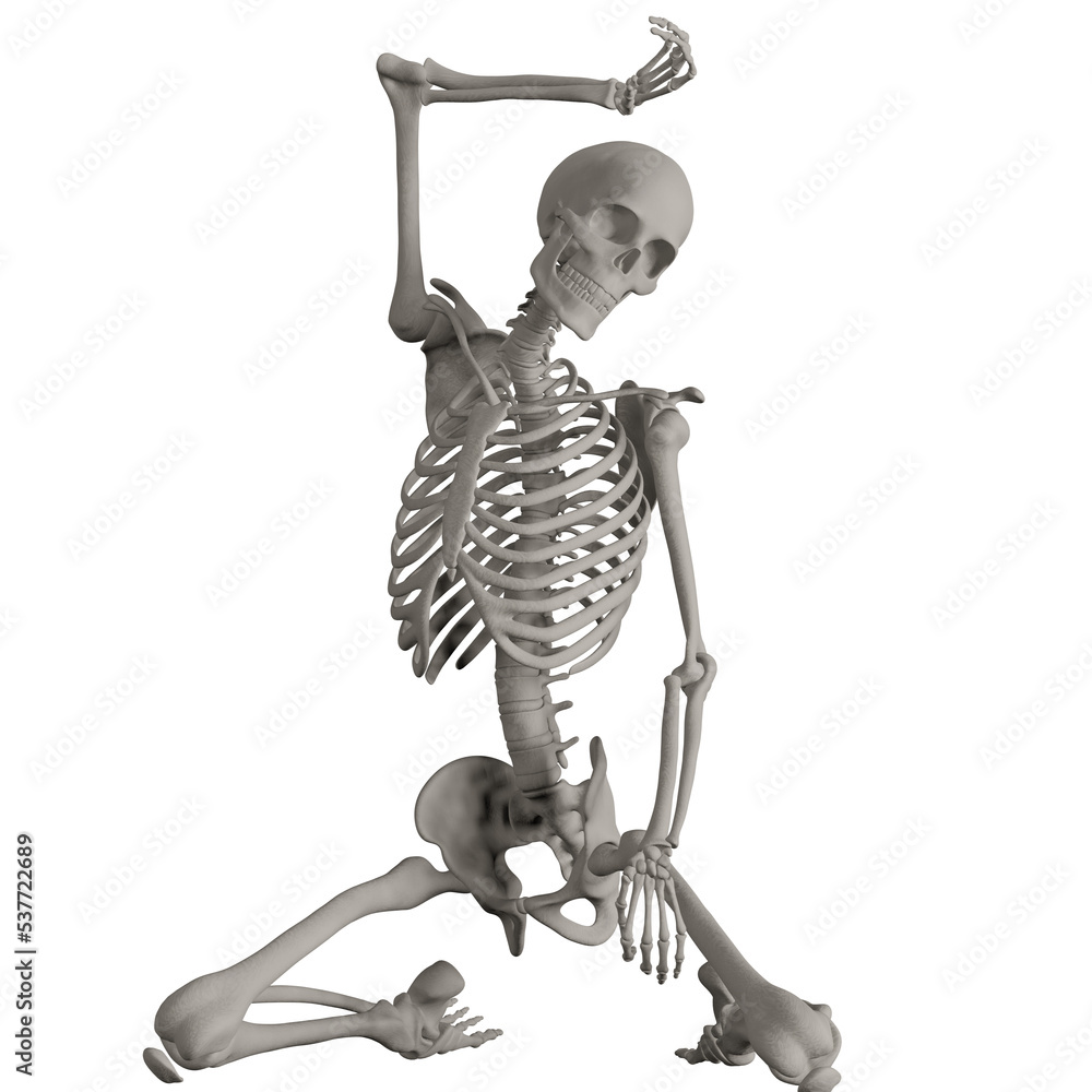 skeleton posing 3d render illustration skeleton posing 3d render illustration